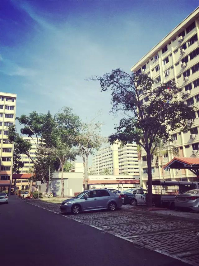 新加坡建筑工木工瓦工鋼筋工