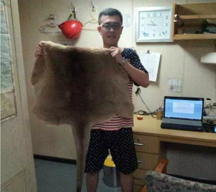 國際貨輪電焊廚師幫廚水手機(jī)工招聘！包吃?。〈龊?！