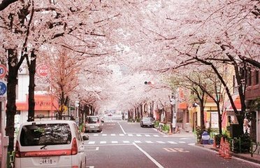 日本縫紉電子組裝機械軟件開發(fā)機械設計