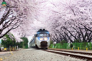 日本勞動力緊缺外籍勞工擴張