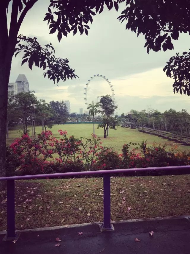 新加坡