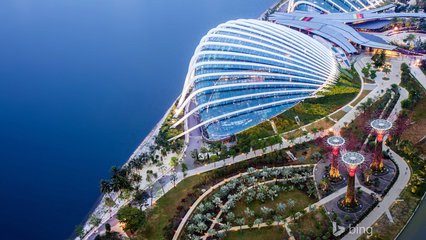 新加坡各類學徒普工雜工司機操作工招聘