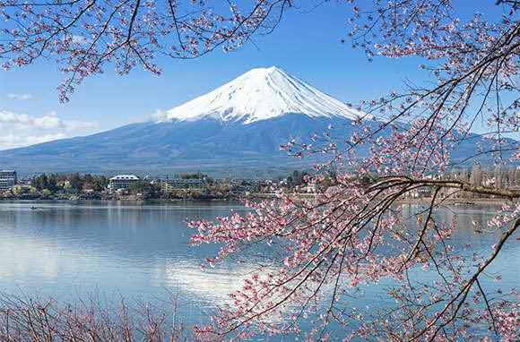 日本介護(hù)零學(xué)費(fèi)招生，半工半讀，學(xué)業(yè)事業(yè)雙豐收
