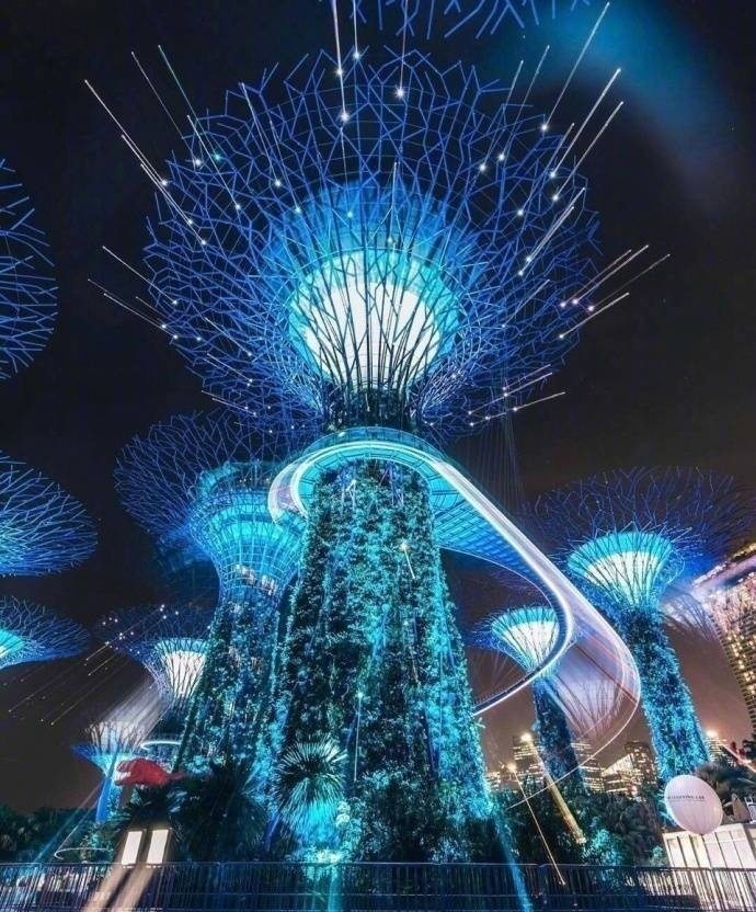 新加坡新單，出境快！待遇好！