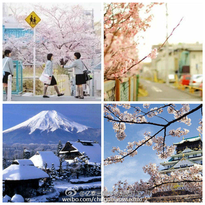 日本勞務(wù)招聘，一年或三年期，待遇好，出境快！