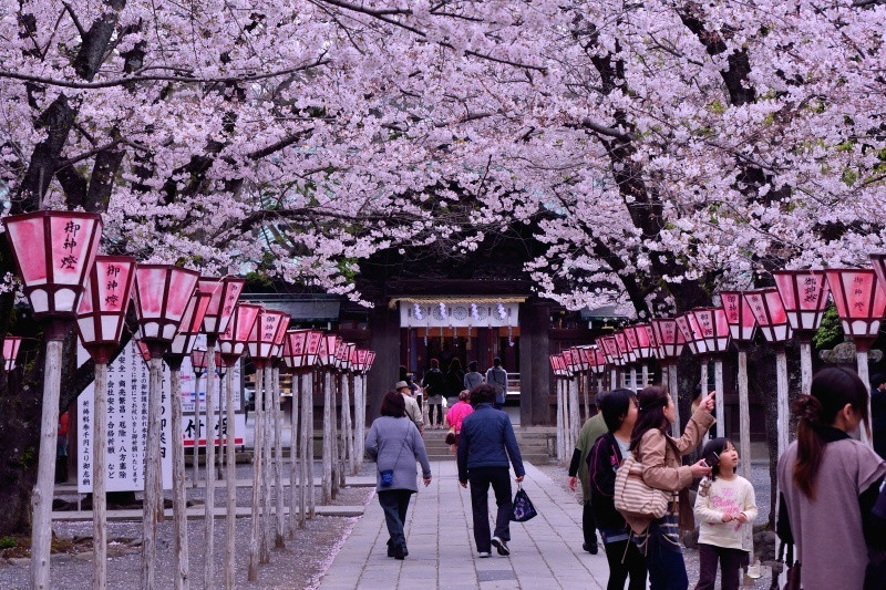 日本養(yǎng)殖種植建筑食品加工等行業(yè)招聘普工技術(shù)工，待遇好