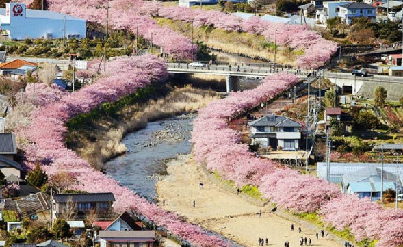 日本風(fēng)景圖