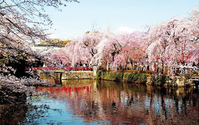 日本風(fēng)景圖