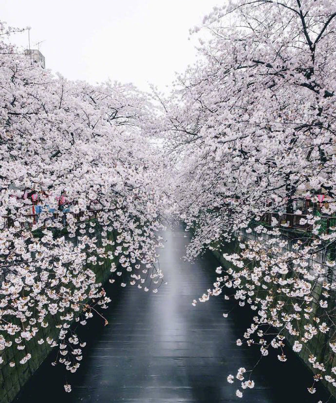 日本風(fēng)情