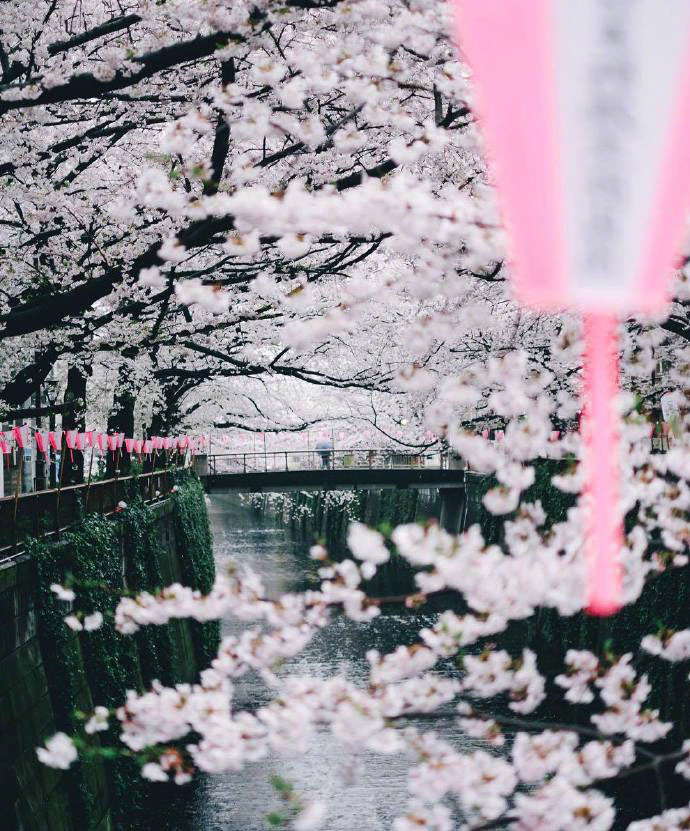 日本風(fēng)情