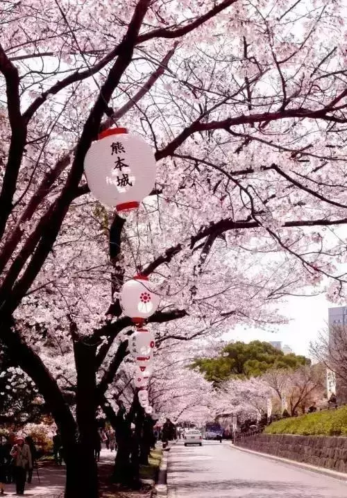 國際海員招聘，待遇好！