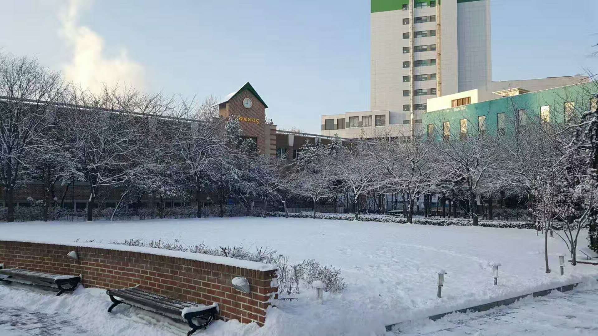 來自韓國留學(xué)生的分享