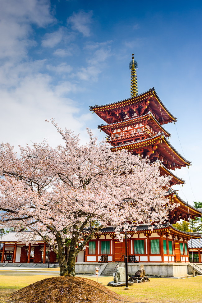 日本留學(xué)：宿舍布置及入境時留意事項