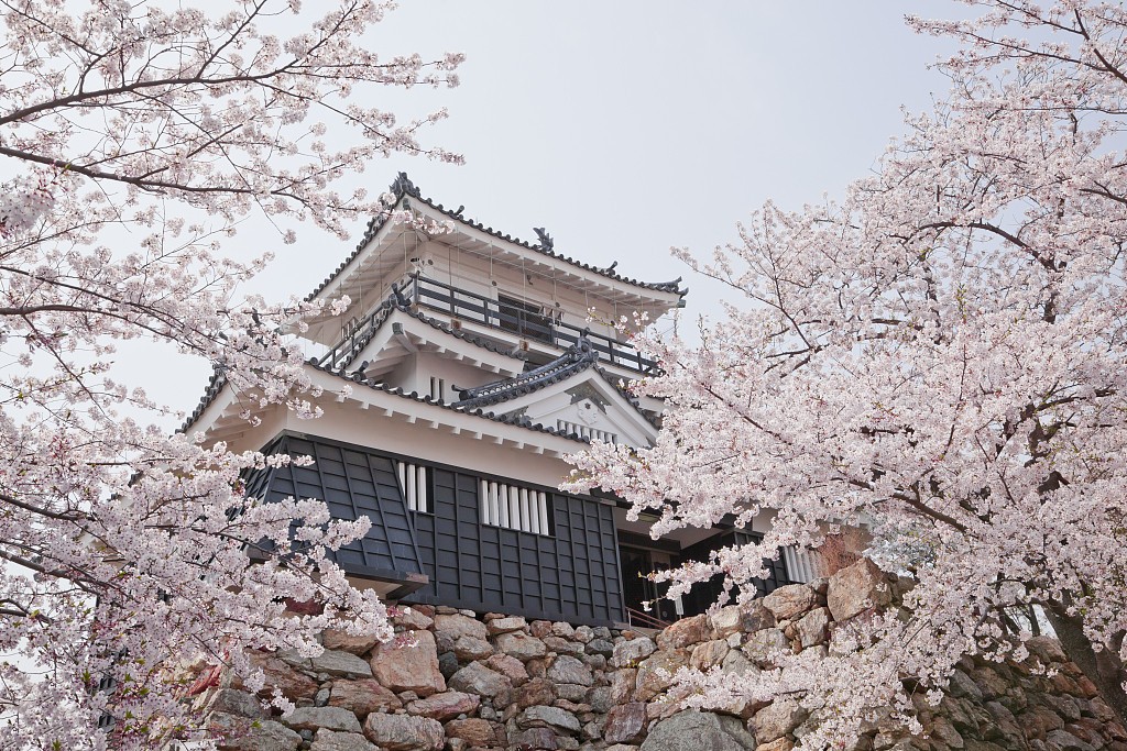 重要通知——日本簽證變嚴(yán)了！請知悉！