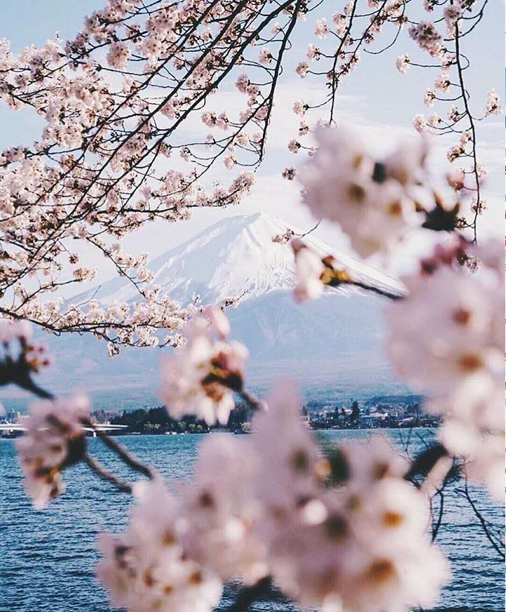 重要通知——日本簽證變嚴(yán)了！請知悉！
