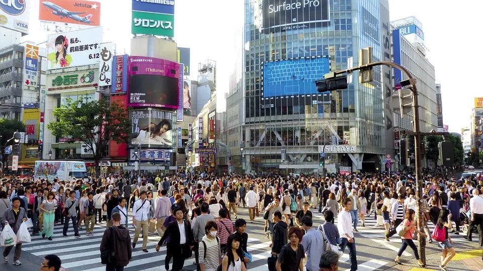 日本大學(xué)熱門專業(yè)的申請要點(diǎn)，你都知道嗎？