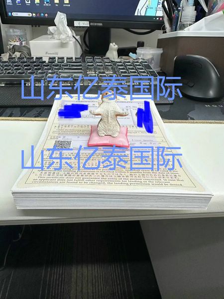 又是一月下簽時(shí) 日本留學(xué)23年10月生東京入國(guó)管理局在留資格全部下發(fā)