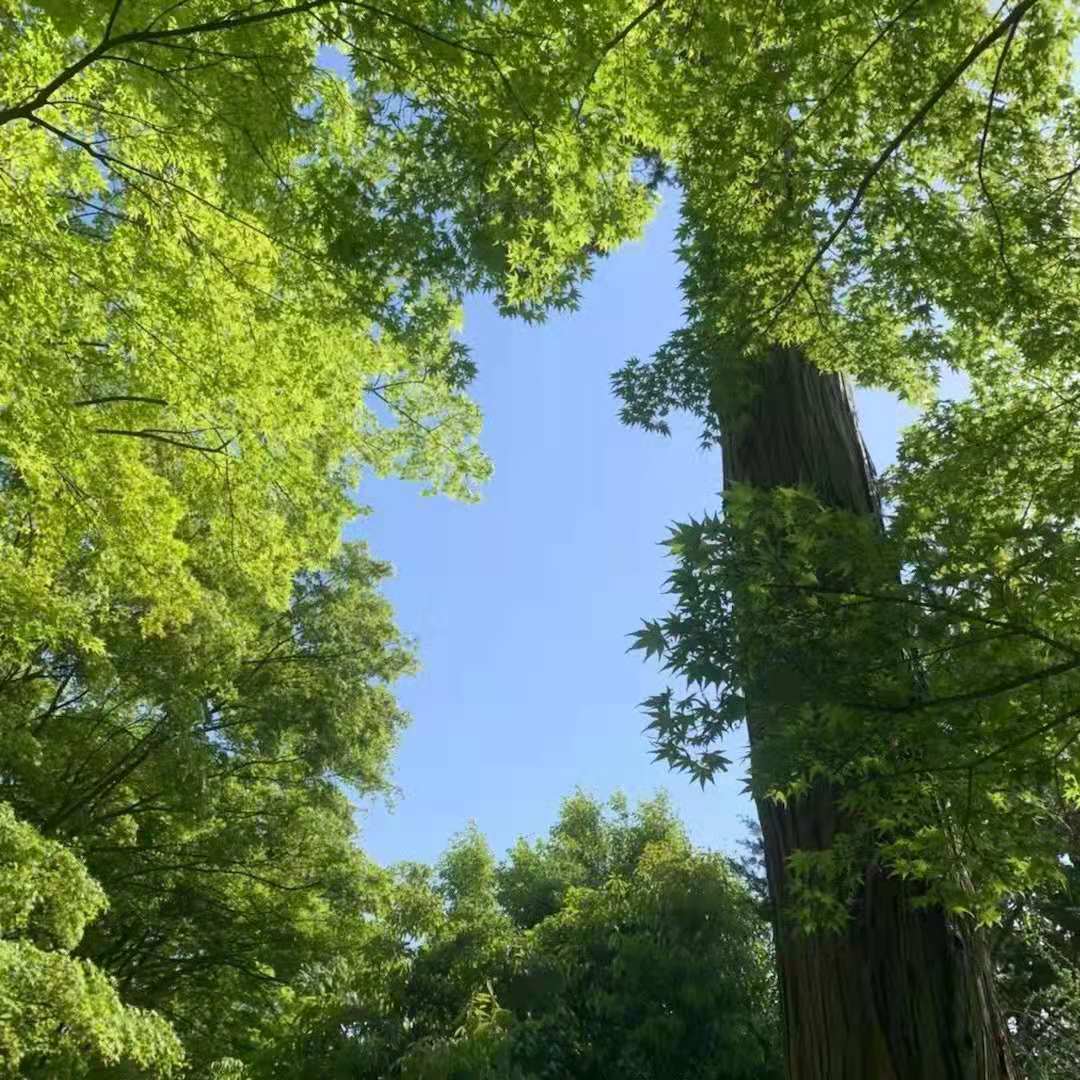 高考分?jǐn)?shù)不理想不要慌，日本半工半讀留學(xué)來嘍