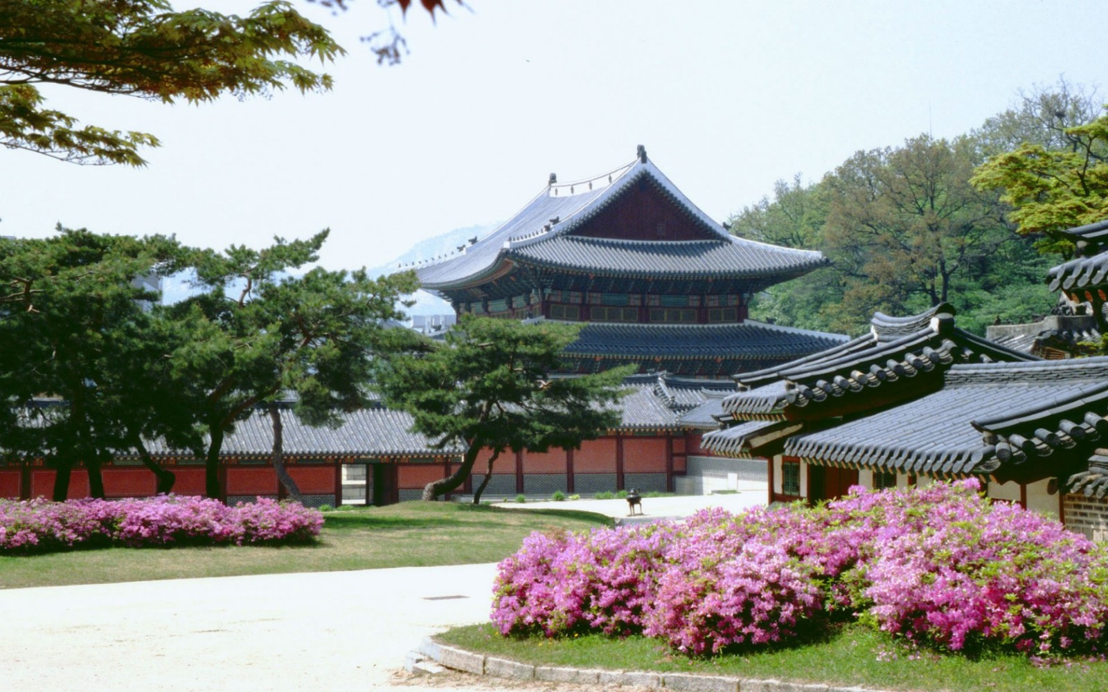韓國