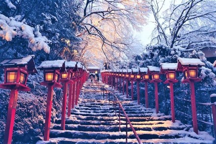 感謝劉先生信任，報(bào)名日本留學(xué)項(xiàng)目。