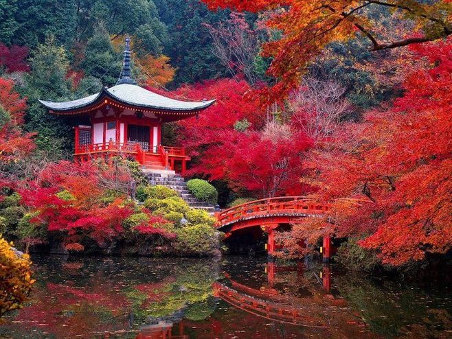 日本工作簽物流工作 無(wú)日語(yǔ)和技能要求 做五休二月薪一萬(wàn)+